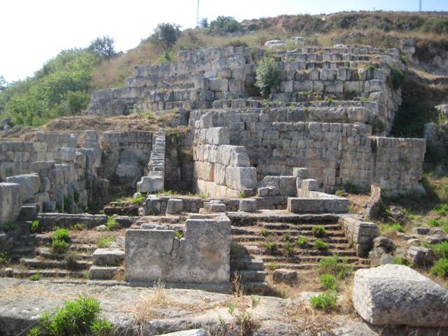 الأعشاب تحيط بآثار المعبد 