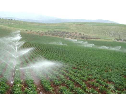 ريّ البطاطا من الآبار بدأ في سهول مرجعيون والخيام وابل السقي وسردا والوزاني