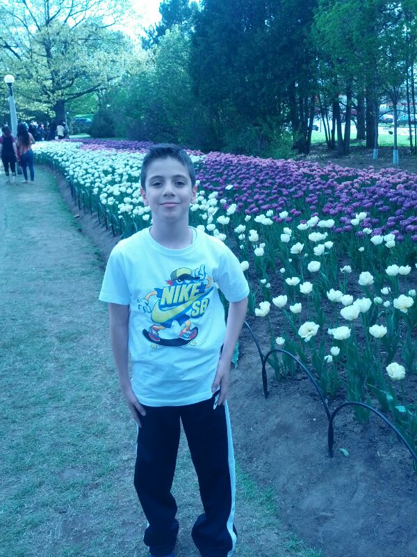 محمد مراد: امي اهديك الشمس للذكرى