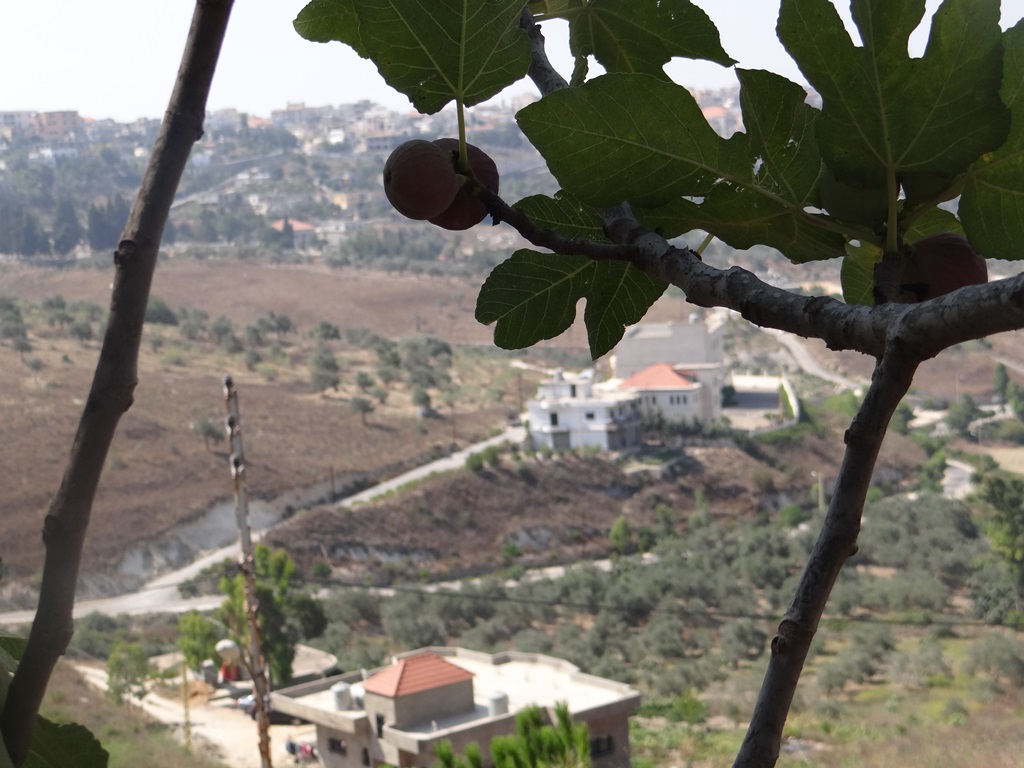 عقار، في موقع رائع، يحتوي على منزل تريبلكس، ذات اطلالات جميلة معروض للبيع في الخيام