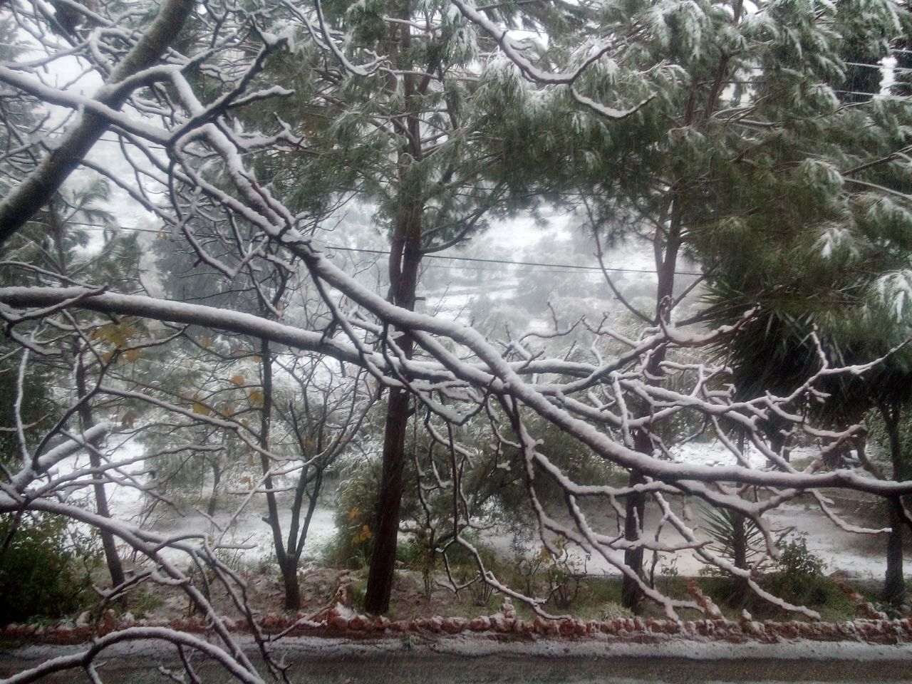 استفاق اهالي مرجعيون والقرى المجاورة على تساقط الثلوج بغزارة ابتداء من ارتفاع 600 متر 