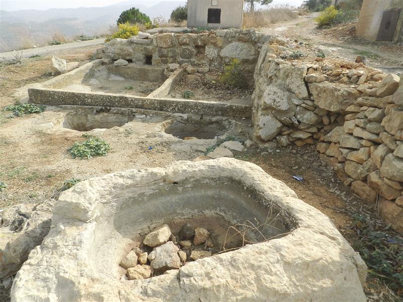 أجران معصرة دبس حجرية (طارق أبو حمدان)