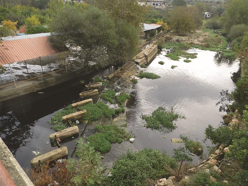 تلوّث الحاصباني