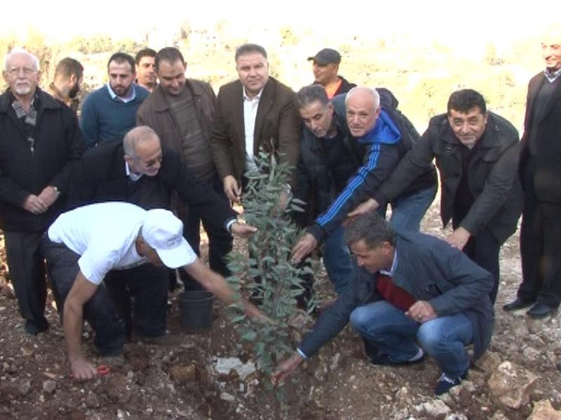 من حملة تشجير (طارق أبو حمدان)