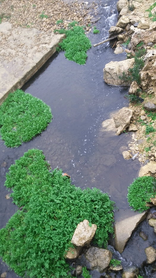 نهر الحاصباني: يبقى الوضع كحكاية ابريق الزيت، يحوّل الزيبار من نعمة الى نقمة