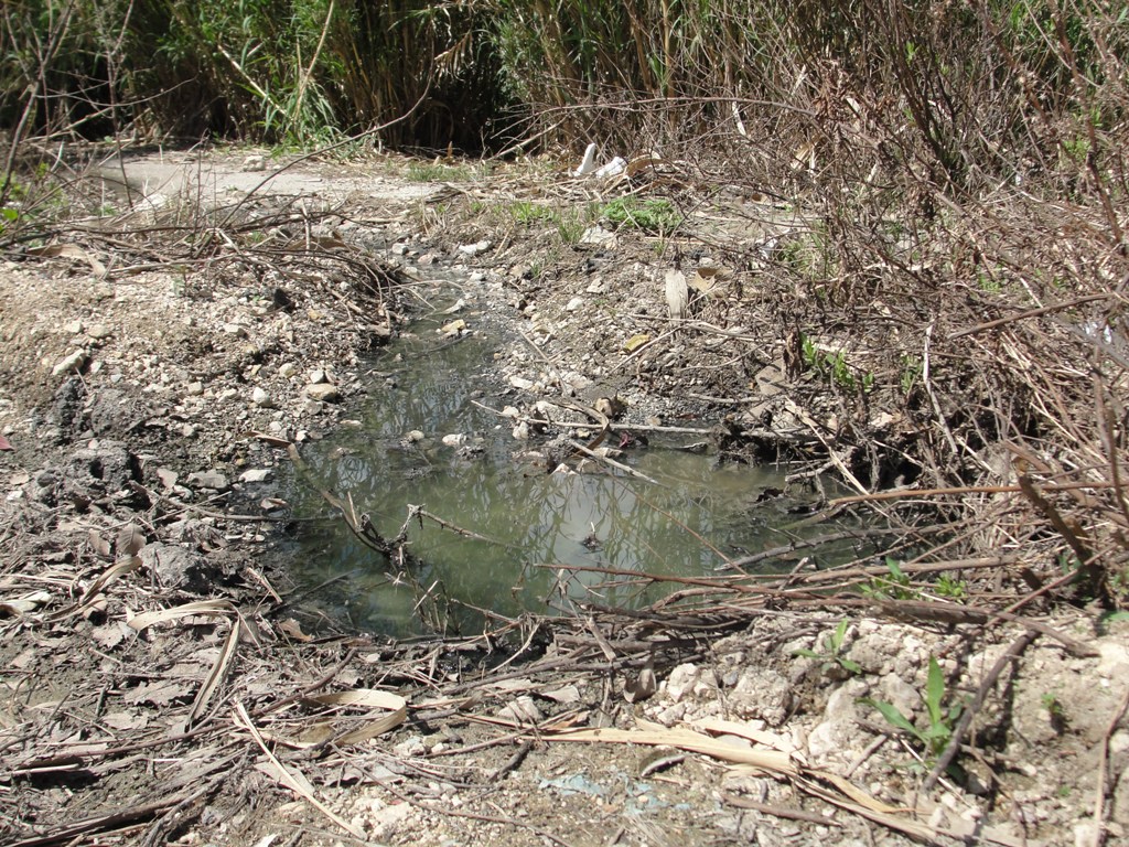 متى نتوقف عن رؤية تلك المشاهد المقززة داخل البلدة؟