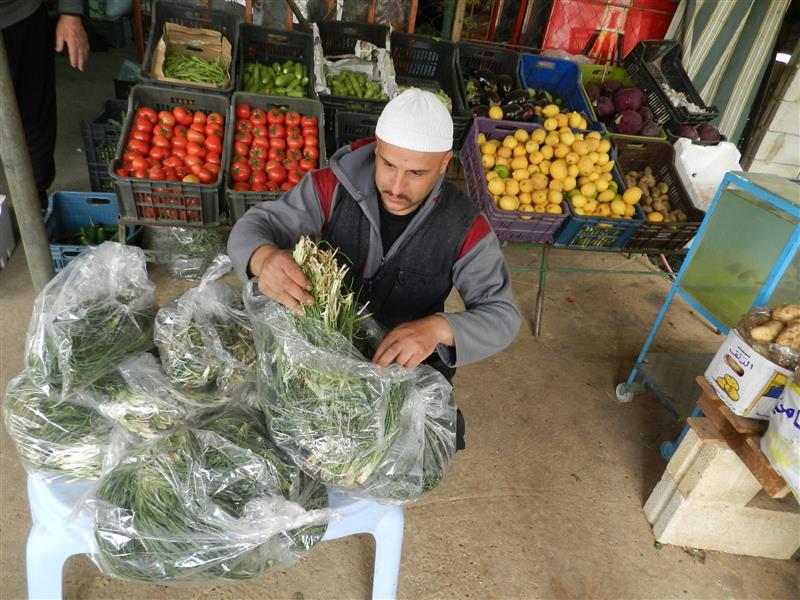 السليقا هي تلك التي تنبت في الأرض حيث لم تصل إليها أبداً، الأسمدة الكيمائية التي تفسد هذه الأعشاب