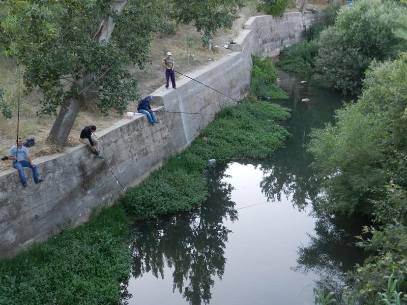 صيادو السماك عند ضفة الحاصباني (طارق ابو حمدان)