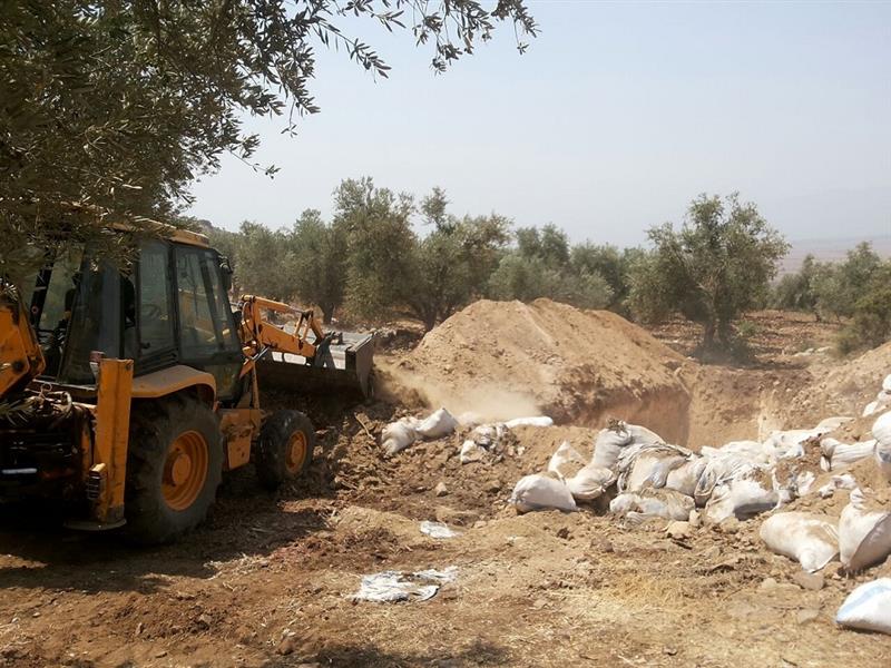 حفارة تعمل على طمر الدجاج النافق في المجيدية - (طارق ابو حمدان)