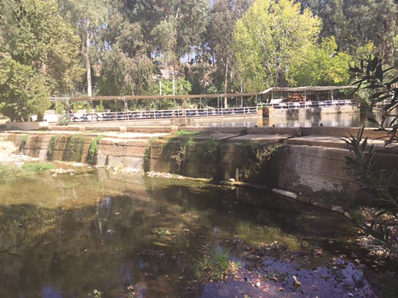 شلالات الحاصباني دون نسبتها المعتادة (طارق ابو حمدان)