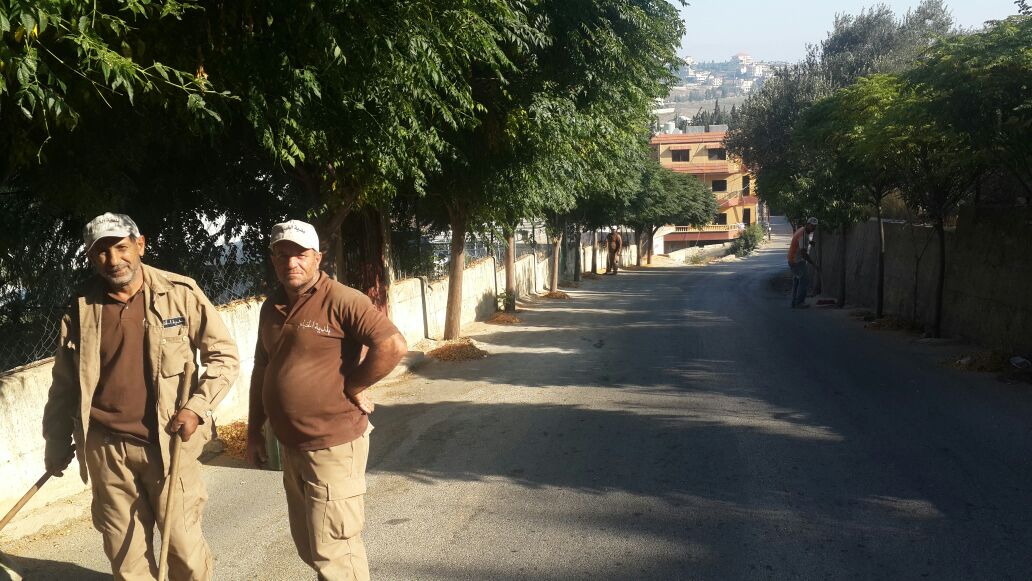 اليوم تجددت زراعة هذه الاشجار على جوانب بعض الطرق.. وقد حظت بعض طرقات الخيام بجمالية مضافة بعد زرع الزنزلخت على جانبيها