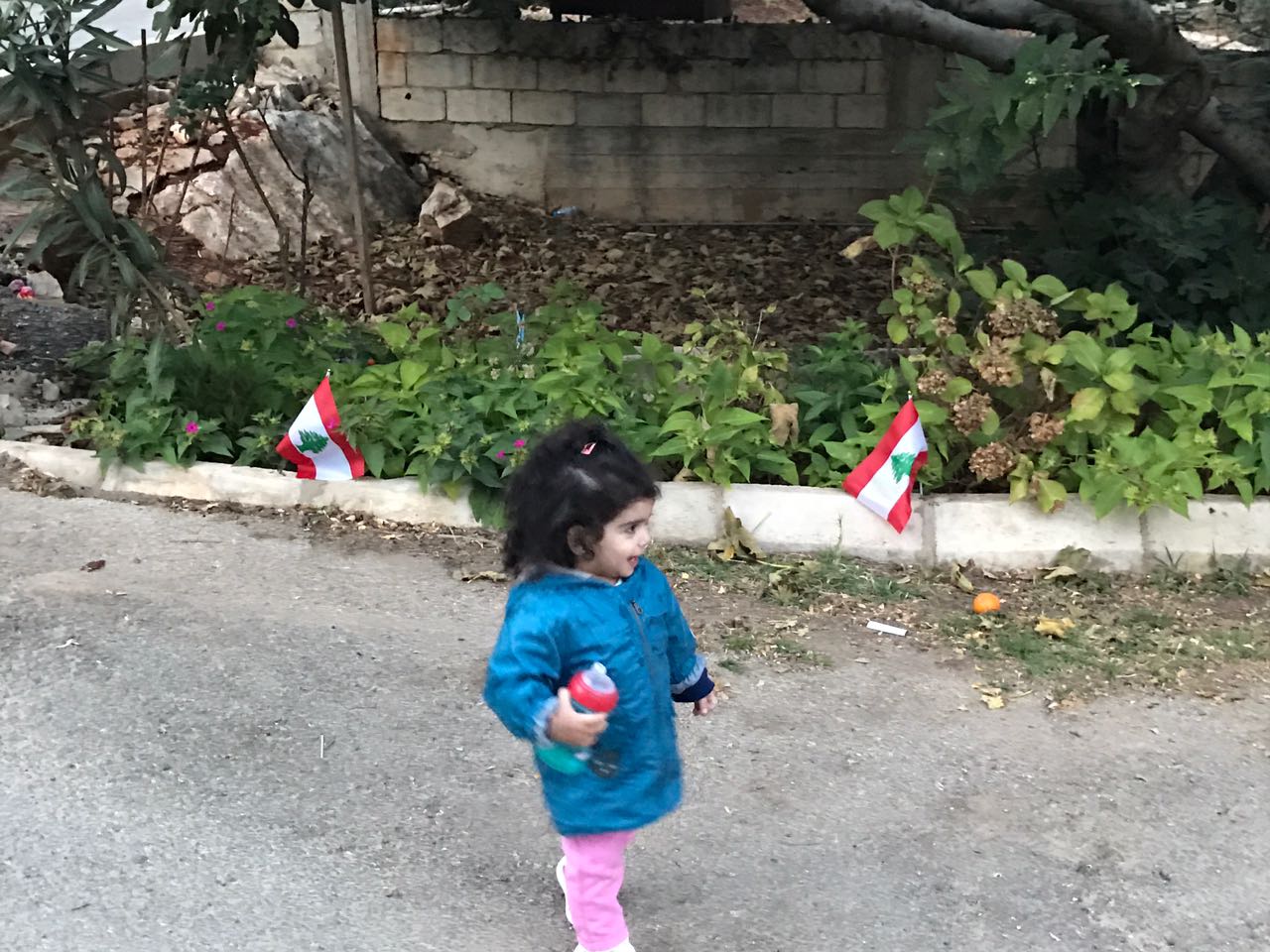 هكذا احتفلت عائلة الاستاذ حسين خريس  وأحفاده في عيد الاستقلال