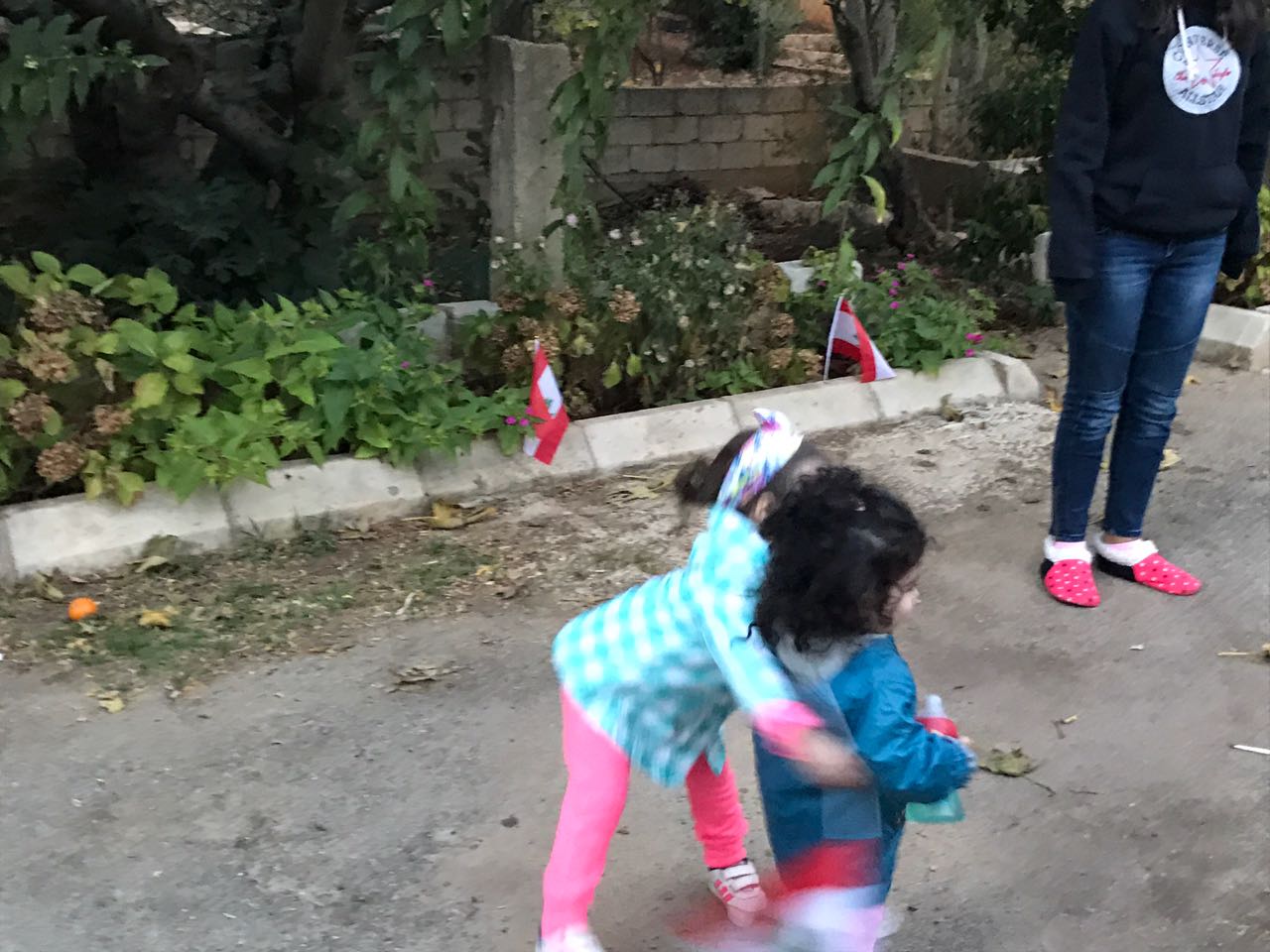 هكذا احتفلت عائلة الاستاذ حسين خريس  وأحفاده في عيد الاستقلال