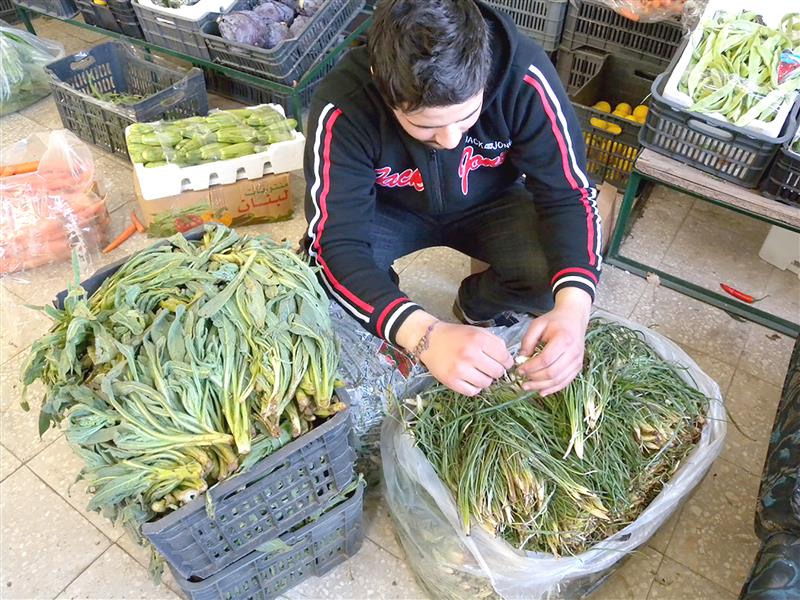 موسم خير في الريف للمواطنين والنازحين.. يوضّب السليقا في محله (طارق ابو حمدان)