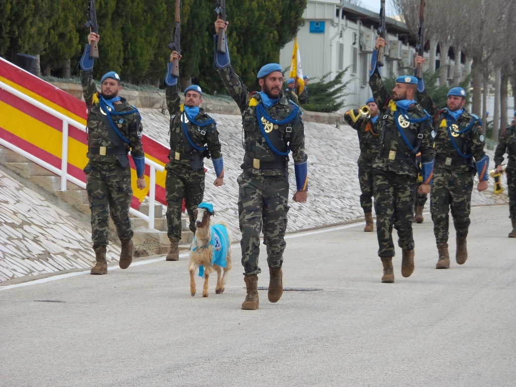 العنزة جولي من فرقة الليخيون سارت في مقدمة العرض العسكري