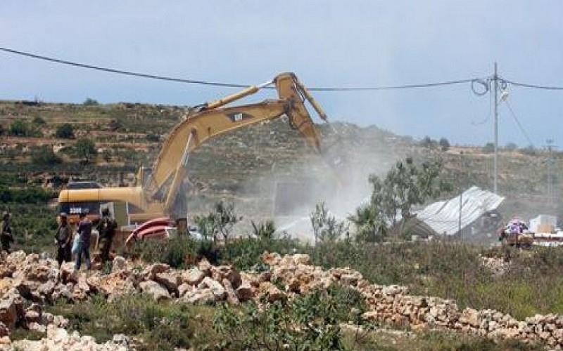 جريمة بيئية في زبدين: العدو يقتلع 1500 شجرة زيتون