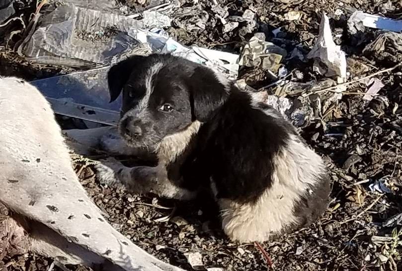 كم كان قاسياً ومؤلماً هذا المشهد يوم أمس