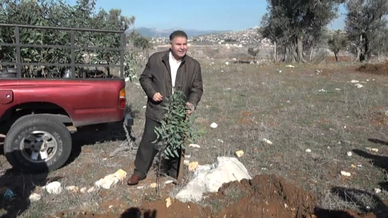 النائب فياض يغرس شجرة