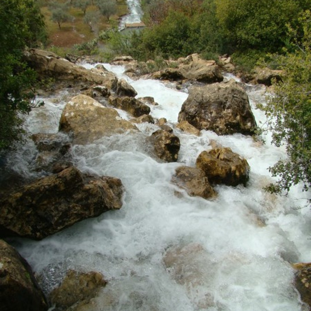 لنبع سريد العديد من الأحاديث والأقاويل، التي تدل على قوّته وغزارة مياهه