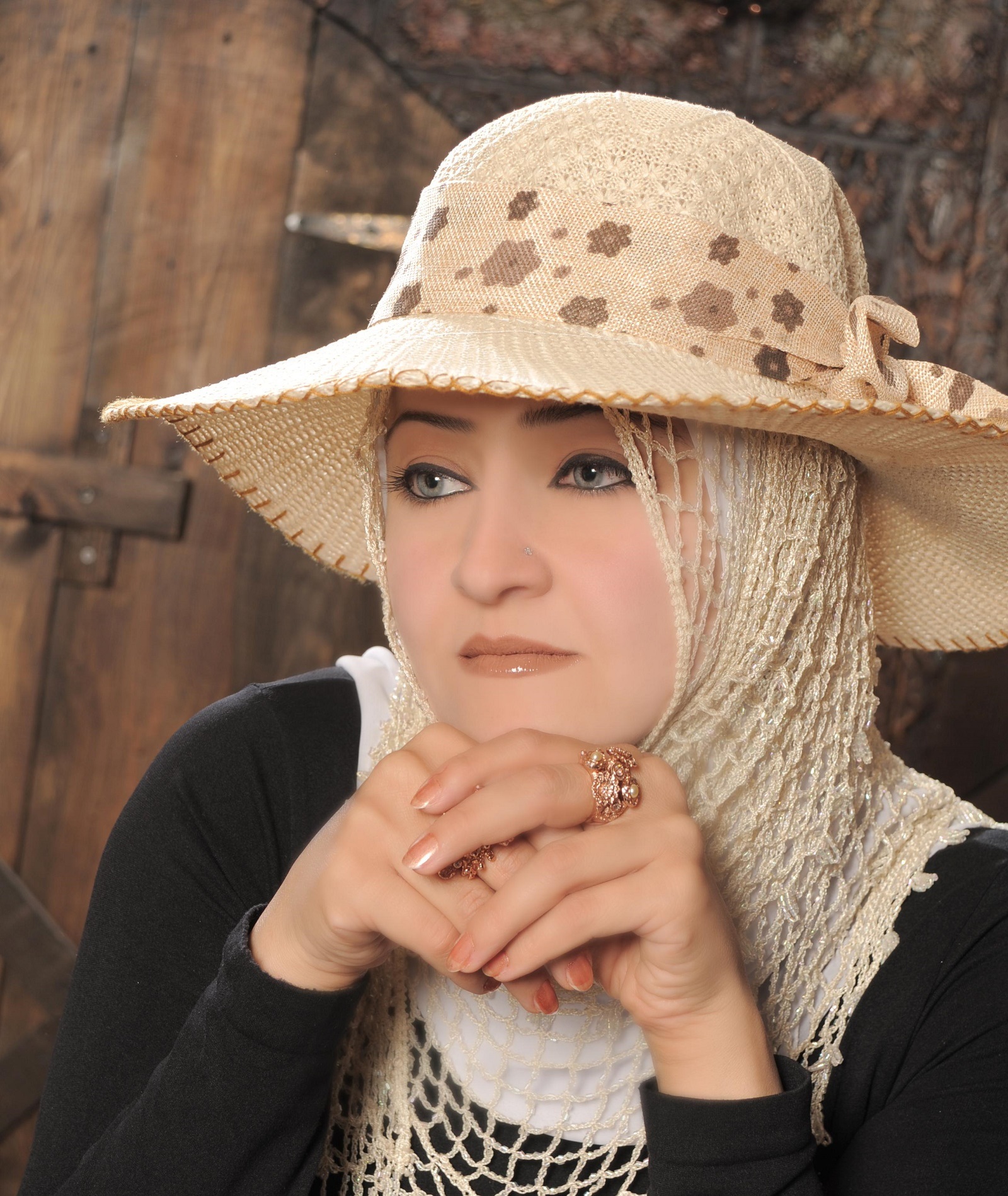 الدكتورة سناء شعلان