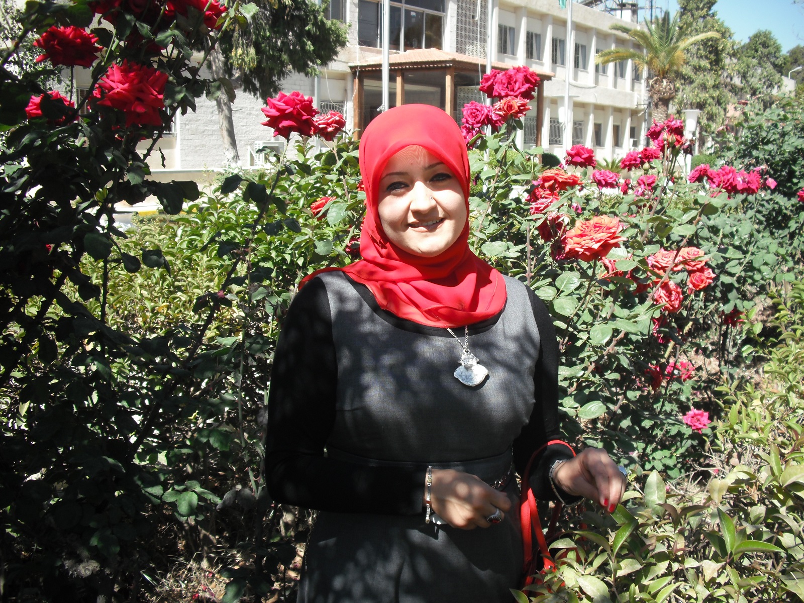 الأديبة د.سناء الشعلان