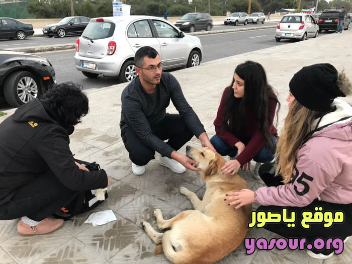 شبان مدينة صور يتعاملون بطريقة رحيمة واخلاقية مع الكلب الضال الذي صدمته سيارة