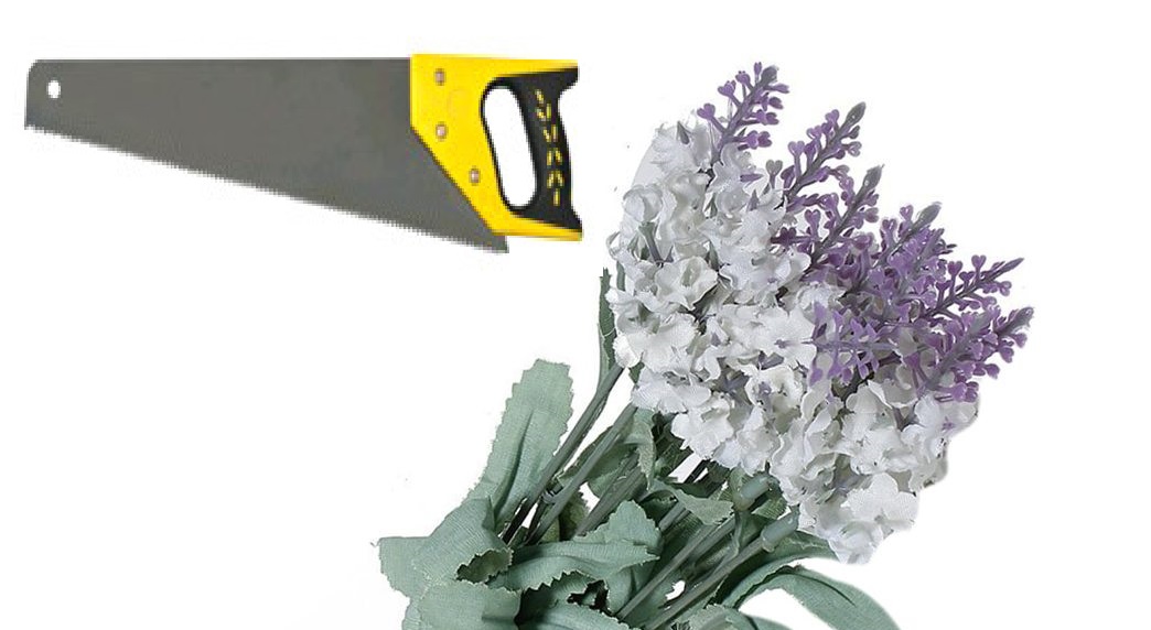 إيد الغدر حامل المنشار  وبإيد المحبّة باقة الأزهار