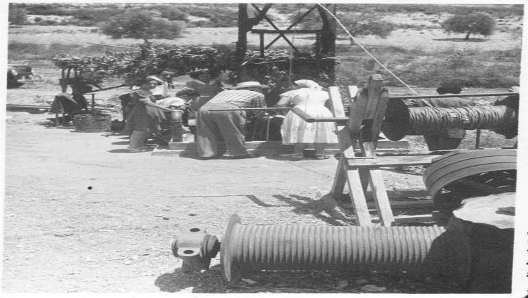 استخراج الحمّر قديماً (أرشيف عائلة نسيب غبريل)