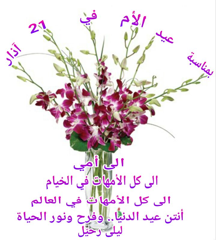 إلى كل الأمهات