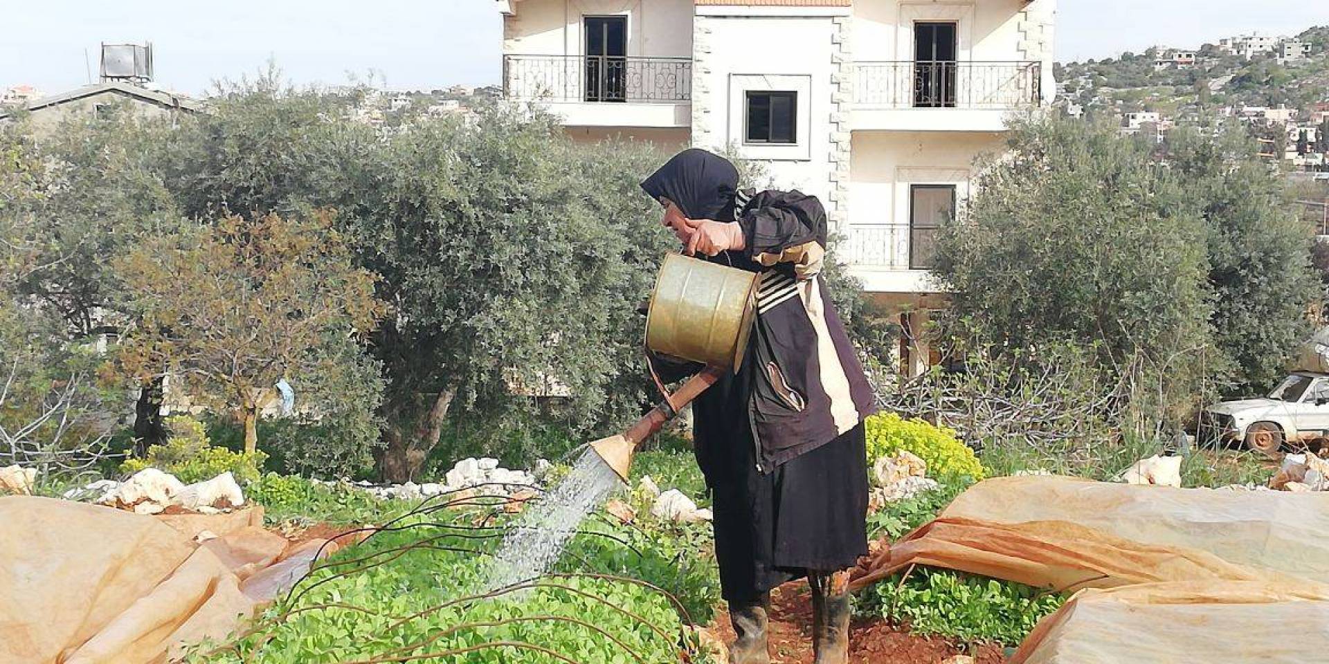 ام رفيق عواضة