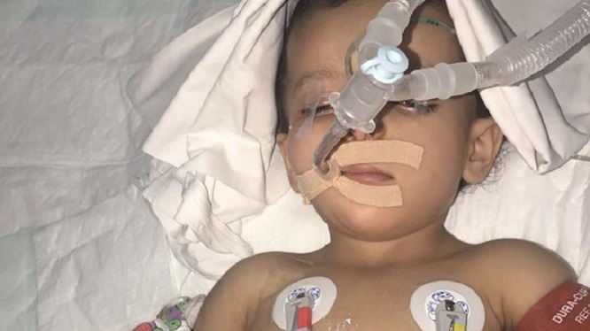 الطفلة ترف في العناية المركزة