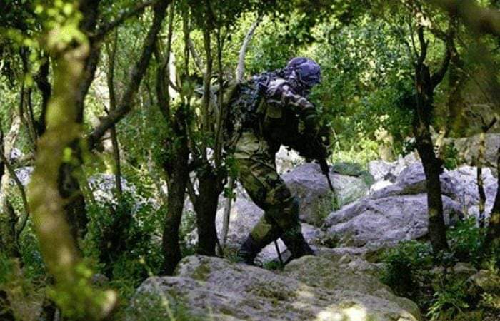 مقاومون مجاهدون، احسدكم في الحب.. اغار منكم بالإيمان  يا اطهر رجال الزمان