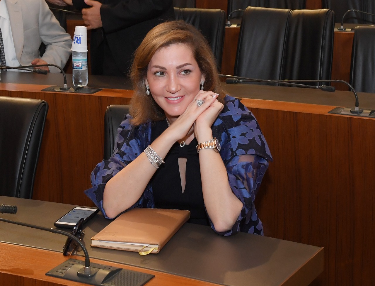 المرشحة ديما جمالي.. قرر رئيس المجلس الدستوري رفع دعوى ضدها