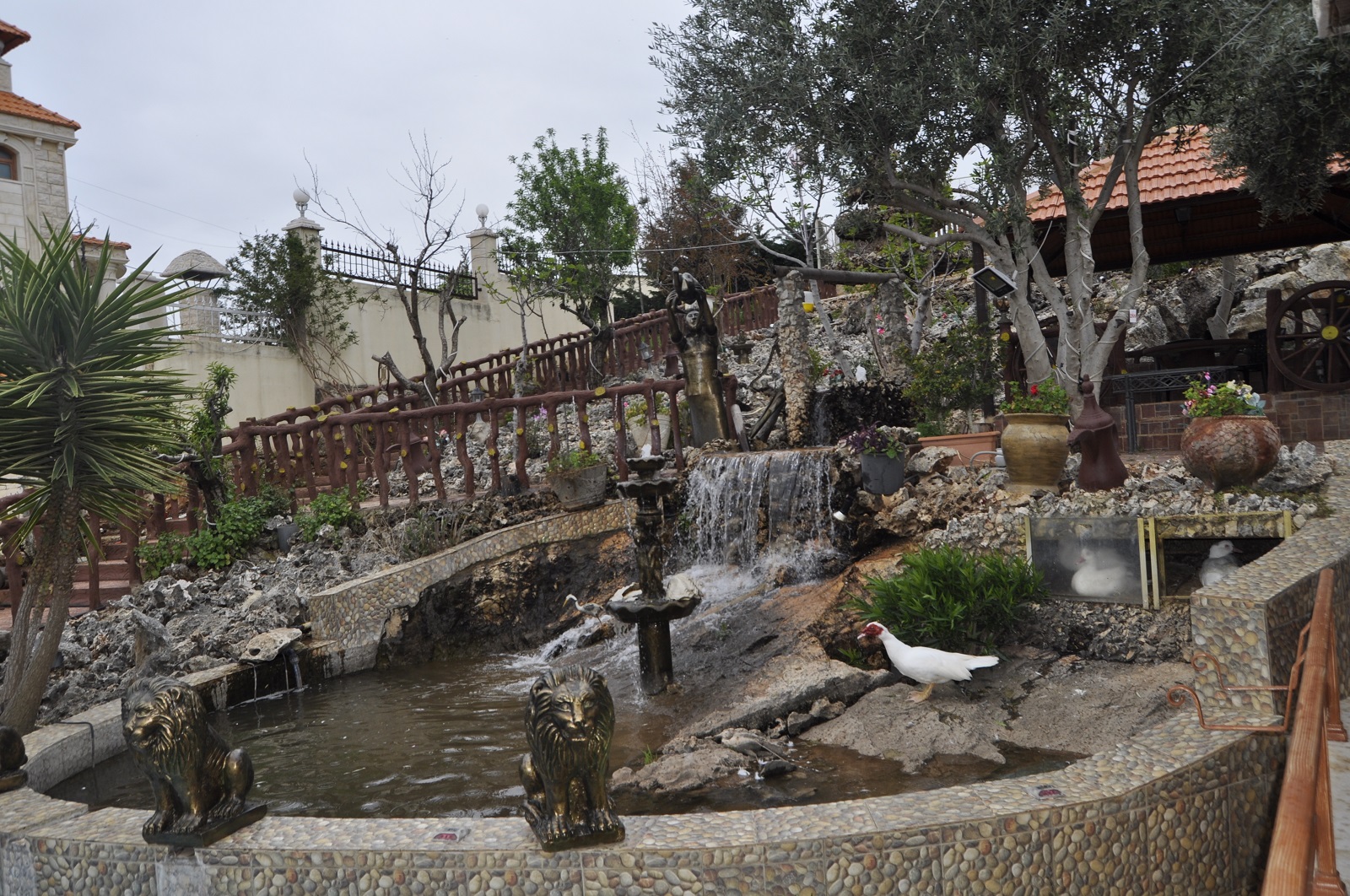 شلالات المياه المتدفقة في دارته