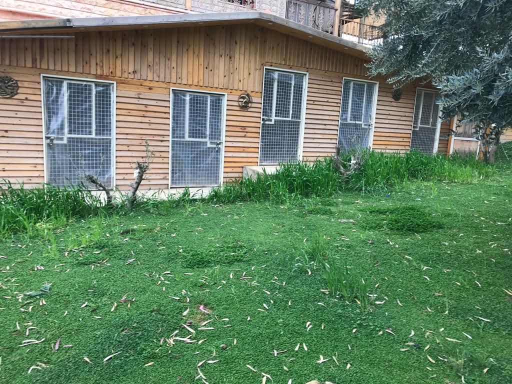 شلالات المياه المتدفقة في دارته