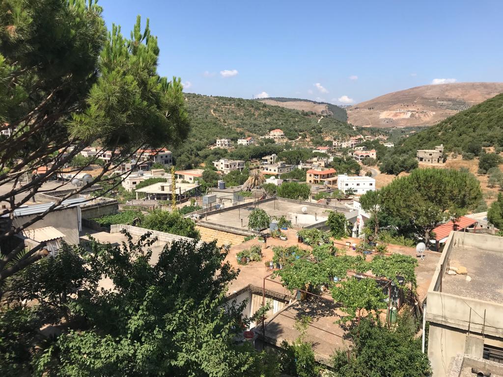 جانب من أحياء بلدة الفرديس