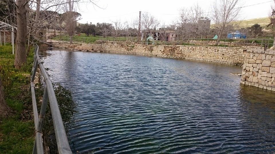 نبع ابل السقي