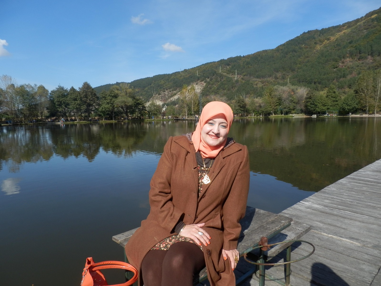 د. سناء الشعلان 