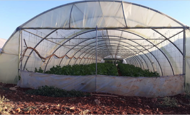 المزارعون يراكمون خسائرهم وتجار الأزمة يضاعفون أرباحهم على حساب أصحاب المصالح الصغيرة