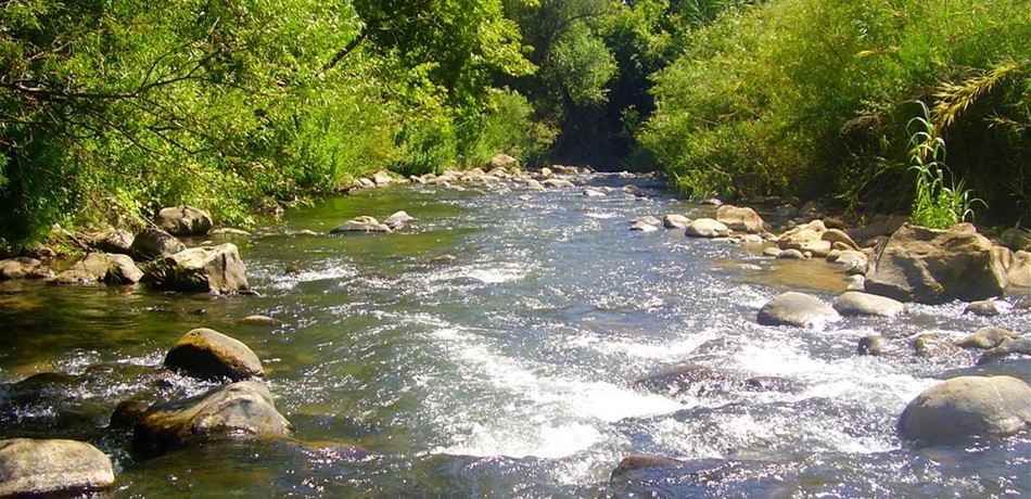 مشروع الليطاني على منسوب 800 متر: تستفيد منه أكثر من 100 قرية من مشغرة إلى يارين