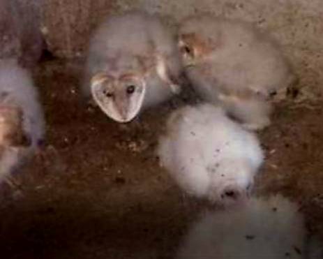 تصوير ميشال حلاق.