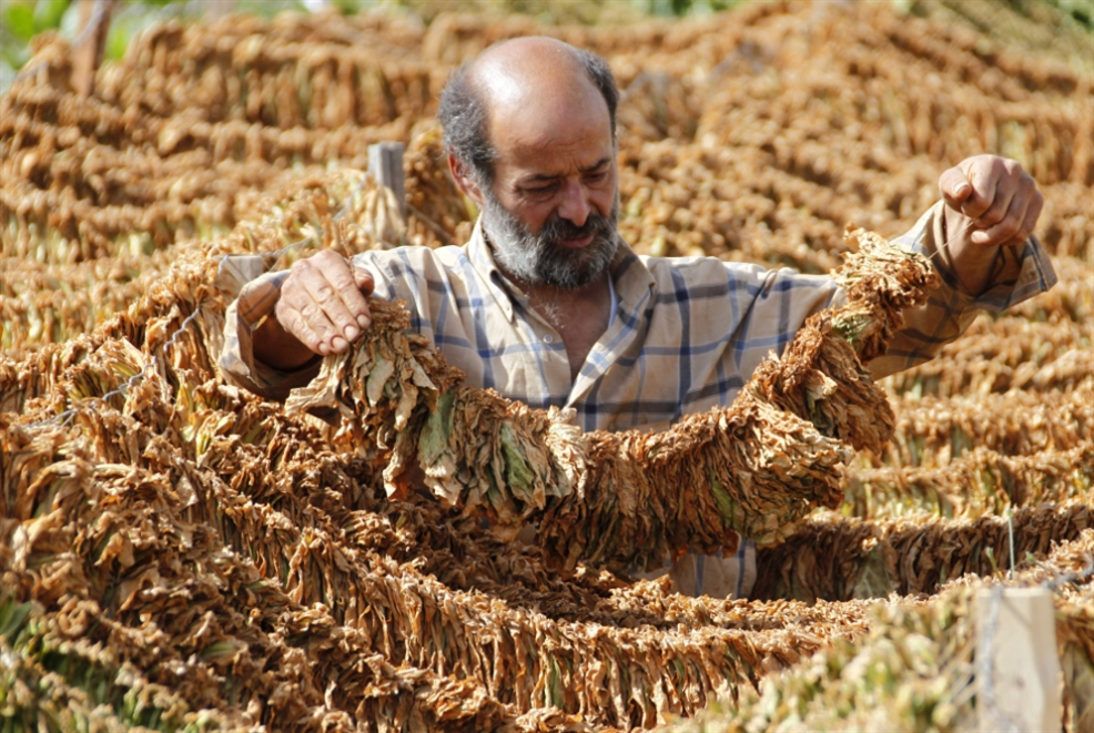 أكثر من 24 ألف أسرة تعتاش من هذا القطاع في غياب تام لأبسط ضمانات التعليم والصحة والطبابة (علي حشيشو)