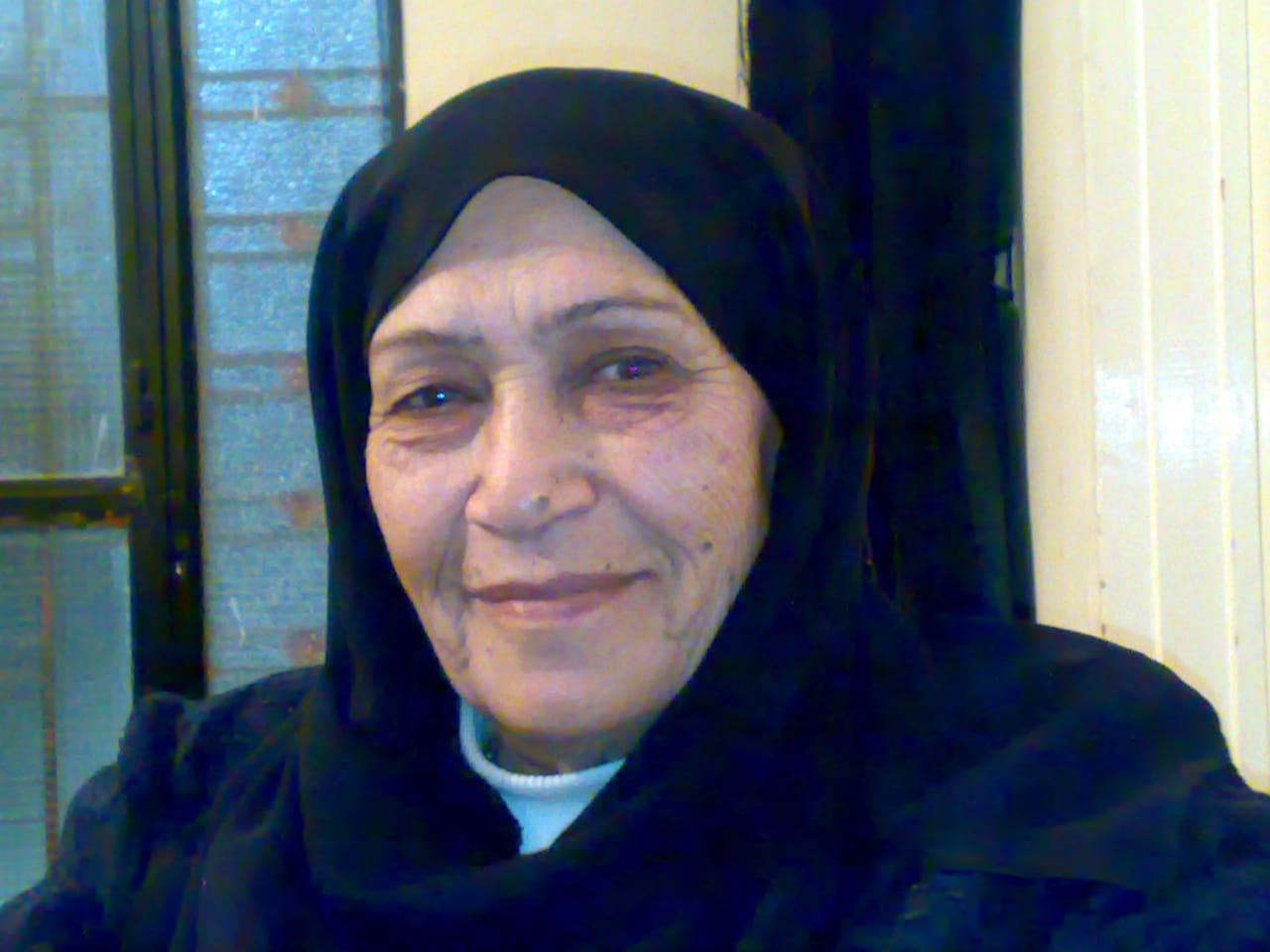 زينب حسن حمود (أم حسين غصن) 1932-2011