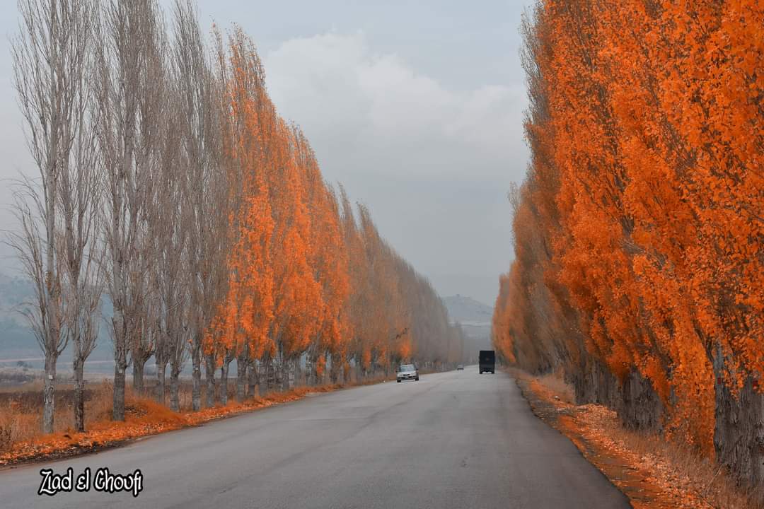 الغيم الجاي يرقص بعرس الطبيعة يللي ما بتموت