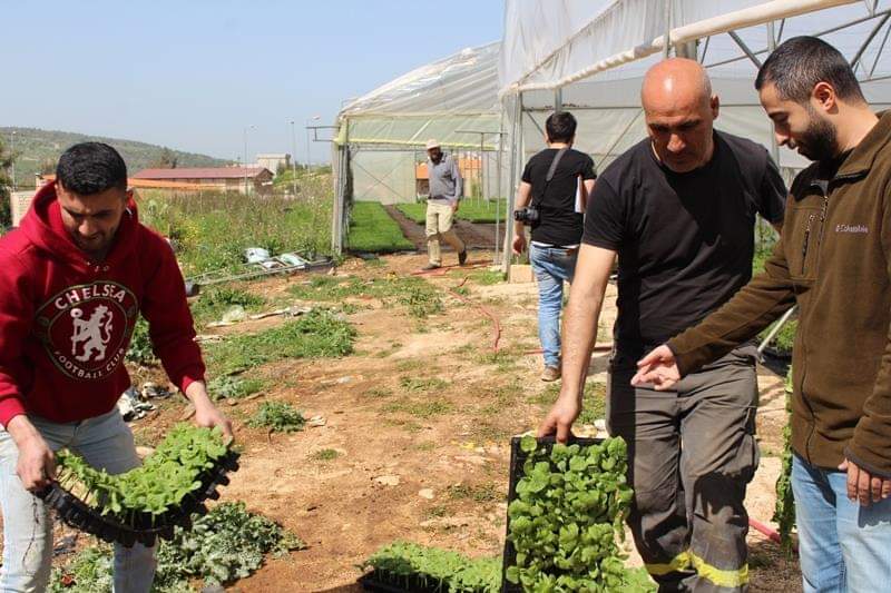 التشجيع على الزراعة البيتية