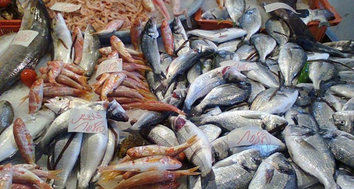 أمام فِرش السمك (فضل عيتاني)