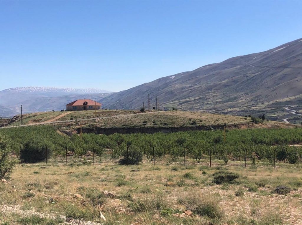 مشاريع زراعية