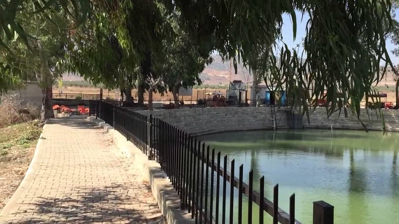 الدردارة.. أيقونة الخيام!