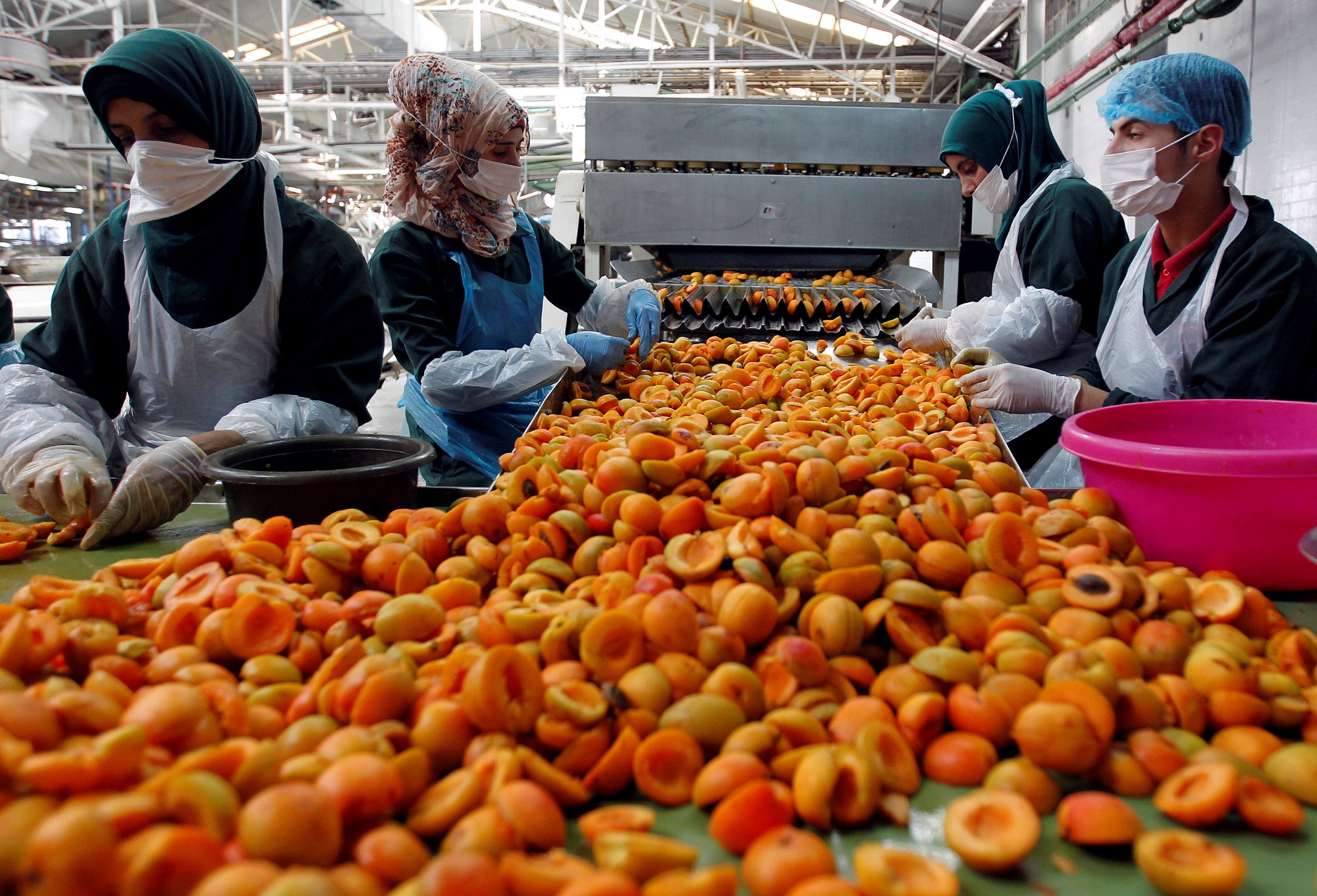 سعر مربى المشمش يناهز الـ 100 ألف ليرة للمرطبان الكبير