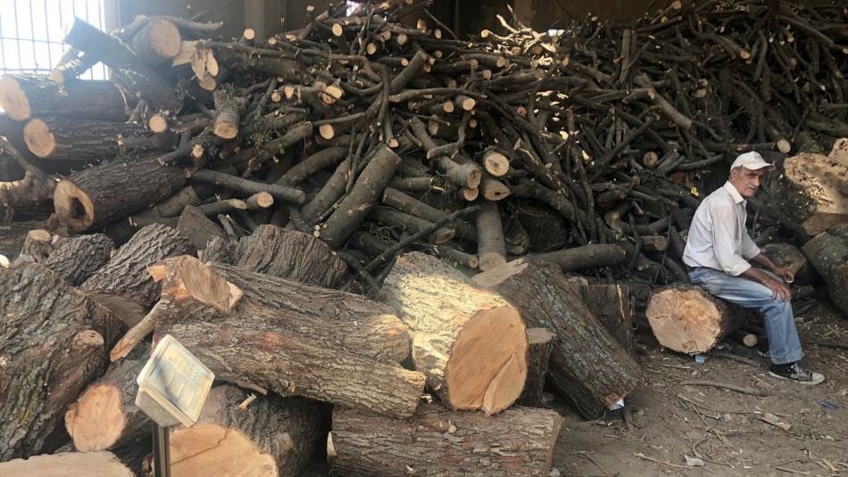 الطلب على الحطب تضاعف هذه السنة مئة بالمئة (المدن)